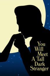 Nonton film You Will Meet a Tall Dark Stranger (2010) terbaru